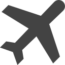 Plane Icon